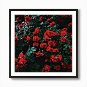 les fleurs rouges Art Print