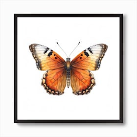 Butterfly 48 Art Print