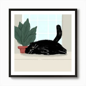 Black Cat On A Window Sill Art Print