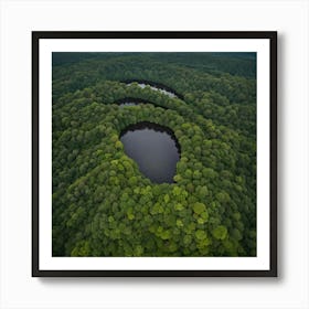 Pond In The Forest 1 Art Print