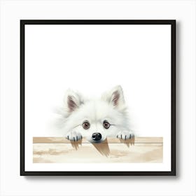 Pomeranian Dog Art Print