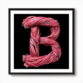 Letter B 12 Art Print