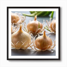 Onion Bulbs Art Print