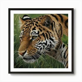 Tiger 9 Art Print