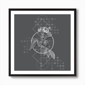 Vintage Boursault Rose Botanical with Line Motif and Dot Pattern in Ghost Gray Art Print
