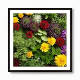 Herb Garden Art Print