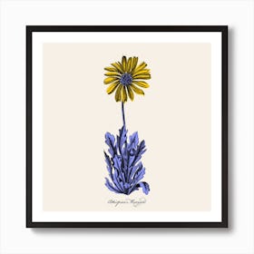 Margarida Art Print