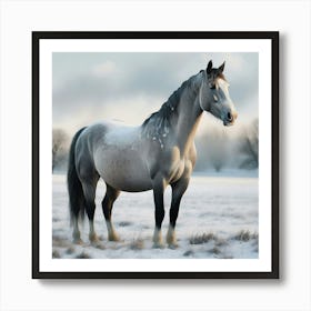 Horse In The Snow 10 Art Print