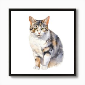 American Wirehair Shorthair Cat Portrait 3 Art Print