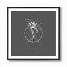 Vintage Tulipa Oculus Colis Botanical with Line Motif and Dot Pattern in Ghost Gray n.0396 Art Print