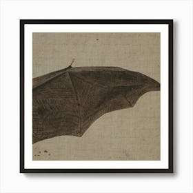 Bat C Art Print