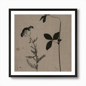 'Silhouette Of Plants' Art Print