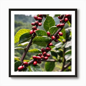 Coffee Berries On A Tree 2 Art Print