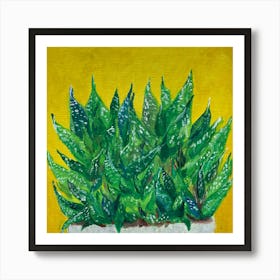 Succulent plants - Reggaepainting Acrylic Painting Art Print