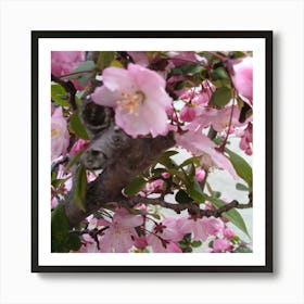 Blossoming Cherry Tree Art Print