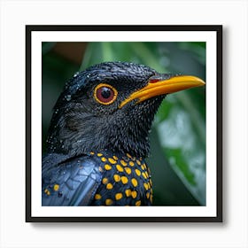 Bird With A Yellow Beak Art Print