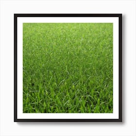 Green Grass 52 Art Print