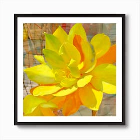 Yellow Lotus Art Print