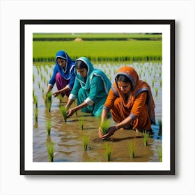 An Image Of Women Working In Rice Field, Planting The Rice Saplings, Pakistan. 6 Poster