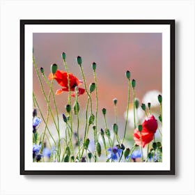 Spring flowers 2 Art Print