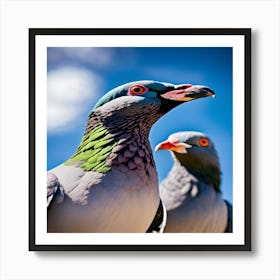 Pigeons 2 Art Print