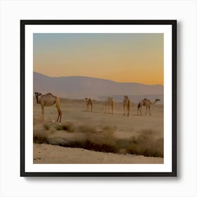 Camels in the desert Art Print