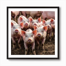 Pigs On A Farm 1 Art Print