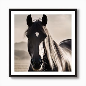 Black Horse Art Print