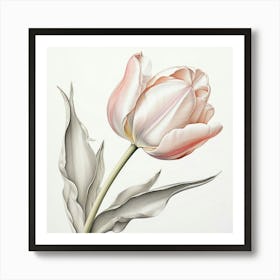 Tulip 1 Art Print