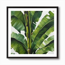 Banana Leaf Art Print