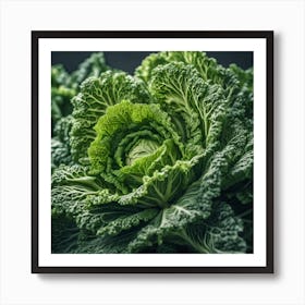 Close Up Of Green Cabbage Art Print