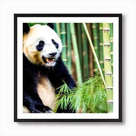 Panda Bear 11 Art Print