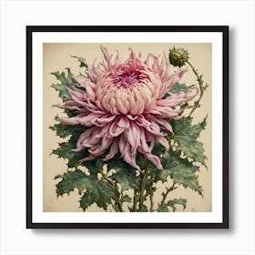 Chrysanthemum 2 Art Print