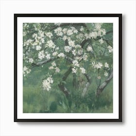 Apple Blossoms 1 Art Print