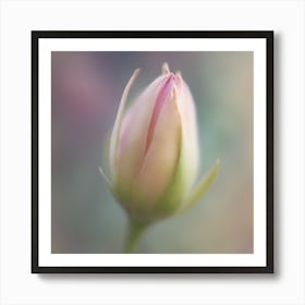 A Close Up Of A Delicate Bird Bud Just Beginning To Bloom, With Soft Petals And Hints Of Vibrant Col (1) Art Print