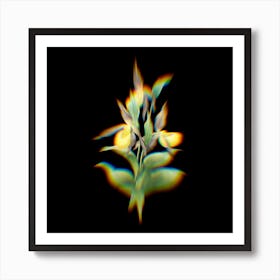 Prism Shift Sabot des Alpes Botanical Illustration on Black n.0057 Art Print