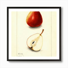 Fruit 20 Art Print