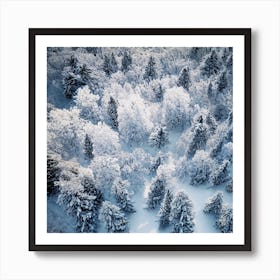 Aerial View Of Snow Covered Forest 1 Art Print