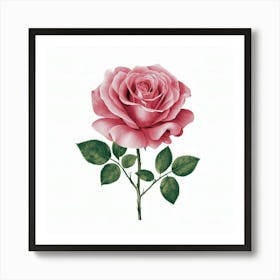 Pink Rose 6 Poster