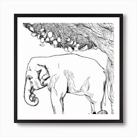 Elephant In The Forest Eating Fruits Art Print