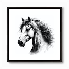 Horse Head Drawing Art Print