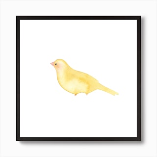Blushing Bird Ocher Square Art Print