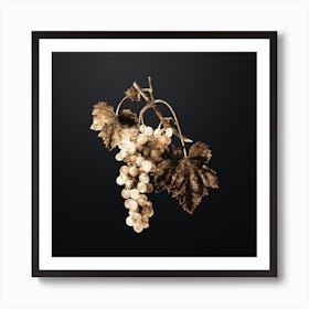 Gold Botanical Muscat Grape on Wrought Iron Black Art Print
