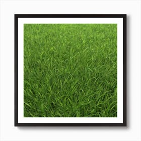 Green Grass 53 Art Print