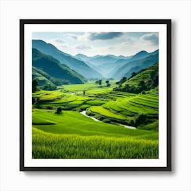 Rice Fields In Vietnam 3 Art Print