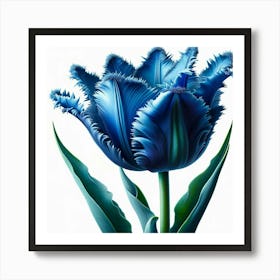 Blue Tulip Art Print