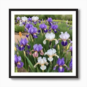 Iris Garden Art Print