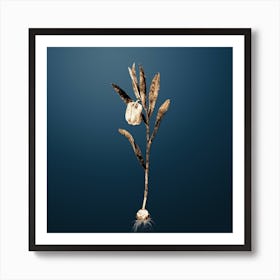 Gold Botanical Fritillaria Latifolia on Dusk Blue n.4471 Art Print