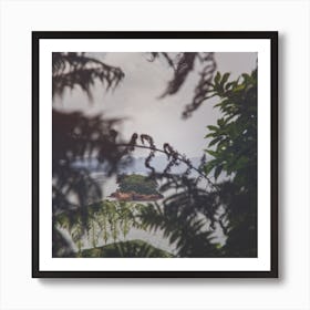 Treasure Island Art Print