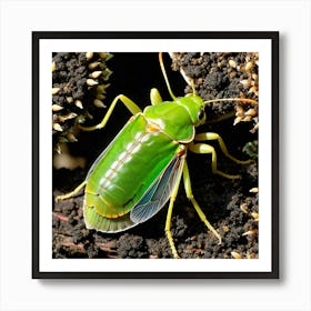 Green Cockroach Art Print